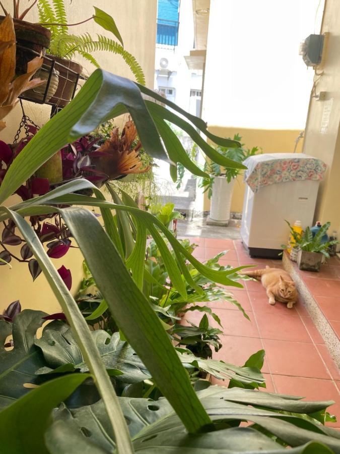 Bed and Breakfast 白砂灣藍海之丘blue Ocean Hill Heng-ch'un Exterior foto
