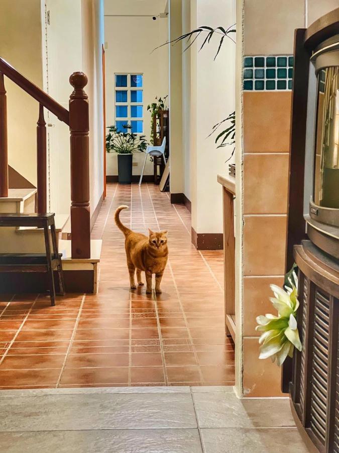 Bed and Breakfast 白砂灣藍海之丘blue Ocean Hill Heng-ch'un Exterior foto